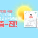 파파보틀 이미지
