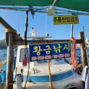 원전어촌계 (황금)낚시터 | 마산 원전 해상펜션 황금선상콘도 낚시 조황 후기