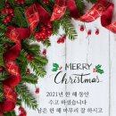 전북대삼성문화회관 Daum카페