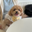 큣페이스 이미지