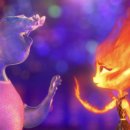 와이디엠 이미지