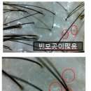 이화미용실 이미지