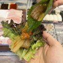 팔딱팔딱 | 부산 전포 횟집 : 팔딱팔딱 횟집 내돈내산 솔직후기