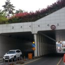 교리 교차로 앞 이미지