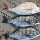 남해-318 이미지