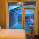 이편한온수어린이집 | [내돈내산]대형견 온수풀 개별수영장 있는 그랑모던풀빌라 다녀온 후기 ~!인생 첫 포항 여행 !