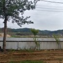 다덕로 Daum카페
