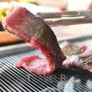 스프링폴 이미지