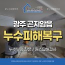 삼주 | 곤지암 누수피해복구 삼주노블리제 천장 도배 공사 후기
