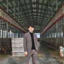 중우 축산 네이버블로그