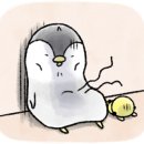 디케이프라임