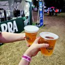 (주)네시삼십삼분 | [송도 맥주축제 2025] 무제한 맥주 2만 원🍺 자리꿀팁, 준비물, 가격, 숙소 후기