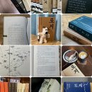 태백김약국 | [토지] 3부까지의 여정