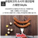 시빌라 이미지