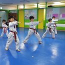 한사랑유아체육태권도 이미지