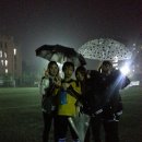 키다리 태권도 Daum카페