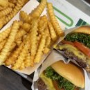 (주)태웅푸드 | 쉐이크쉑 코엑스점 내돈내산 후기｜쇼핑하다 들르기 좋은 햄버거 맛집
