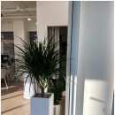 바디랩그룹트레이닝&PT 이미지