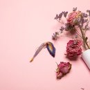 별플라워 이미지