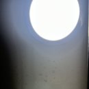 지양로 | 서울 빌라 이사청소, 오염이 매우 심했던 현장을 깔끔하게 만들어 드린 빌라 이사청소 후기