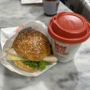 이아 | 아테네에서 산토리니 가는 법｜Seajets 후기 + 피라·이아 버스 이용방법