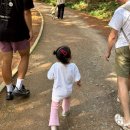 청태산자연휴양림 | 아기랑 횡성 청태산 자연휴양림 2박 3일 기록 (숲속의 집 소나무방, 새 모이주기 체험, 바베큐 및 짐...