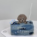 해피벌스댕댕 이미지