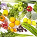 나무 휘트니스 이미지