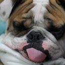 고음농장 이미지