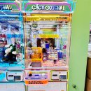 캑티가챠샵 이미지