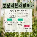 에잇핏요가 - 성남시 분당구 서현로210번길 20 | 에잇핏요가