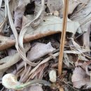 고비농장 이미지