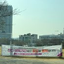 구청 광장 | 분당구청 잔디광장 생육기간 종료! 다시 찾은 주말 나들이 명소