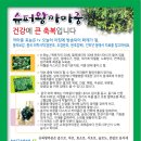 신기슈퍼 이미지