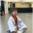 올바른 성장 태권도 이미지