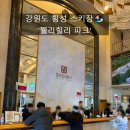 CU 울산신선파크점 | [강원도 횡성] 겨울 스포츠 스키장 추천 ! / '웰리힐리파크' 스키장 및 리조트 후기 (26.01.17~19)