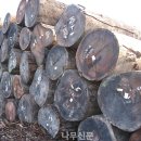 우림유통 이미지