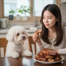 족발속으로 - 송파구 올림픽로51길 31 | 족발속으로