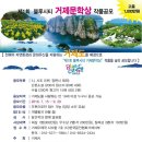 블루시티 이미지