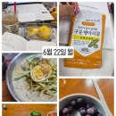 롯데리아고산점 | 팍시 다이어트 FCCE 발효율피 한 달 후기 2｜식단 없이 먹어본 내돈내산 솔직 리뷰