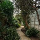 철쭉동산 이미지