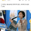 [단독]민주, 추미애 송파갑 전략공천 검토…"석동현 대항마" 이미지