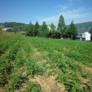 두레전자 이미지