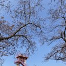 감포거마장 화장실 | [경상북도/감포] 경주 바다여행💙