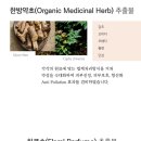 아빠손은약손 티스토리