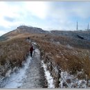 제967차 전남.광주 무등산 (1186.8m) 눈꽃산행 예약 이미지