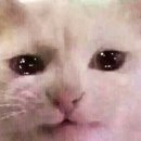 앗싸PC | 레즈비언 결혼 : 괌에서 혼인신고 #2-2 PITI Mayor 웨딩세레모니, DPHSS 혼인신고하기