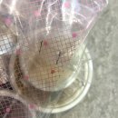 초담(초밥을 담다) 이미지