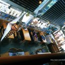 비욘드게스트하우스 이미지