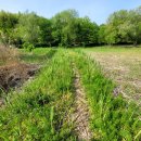 안곡습지공원 화장실 | 안곡습지공원 고양시 시민들이 지켜낸 아이들의 생태학습교육장 주차